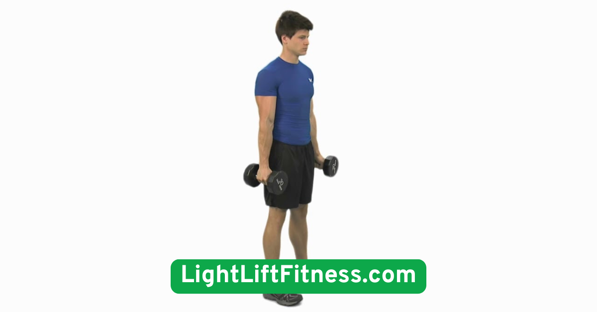 Dumbbell Hammer Curl